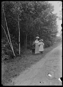 Thee Wilhelm children on a roadside