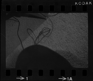 Rug and electrical cords