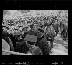 View of graduates in audience at Brandeis University commencement