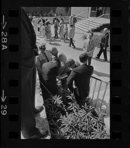Screaming, Stephen Golin, 26 of Leach Lane, Natick, a graduate student and Ph.D candidate is dragged from Brandeis University Campus by Det. Arthur McGonigle of the Waltham Police and another detective after Golin refused to stop passing out anti-Vietnam war literature at the commencement exercises