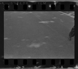 Pavement