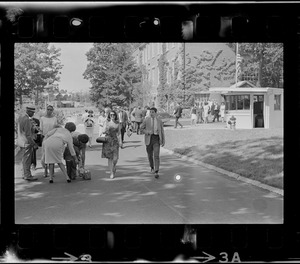 People walking along campus road during Brandeis University commencement