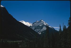 Trees and tree-covered mountain slope in front of snow-capped mountains, British Columbia