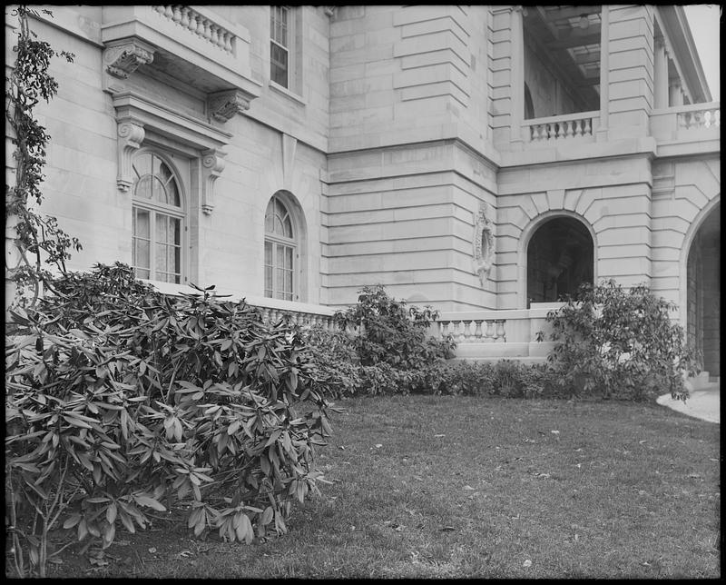 Rhododendron planting