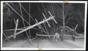 Gale Toppled tree which fell on utility pole on Waverly avenue near Brackett road, Newton Corner, plunging area into darkness and leaving many homes without heat. Inspecting the damage is William James of Boston Edison Co.