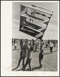 Kites.