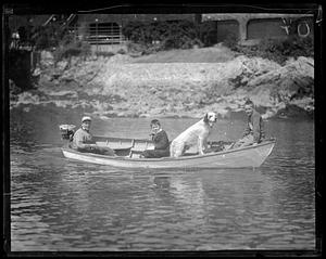 Three boys and a dog on a boat