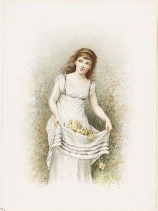 Woman gathering daffodils