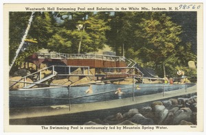 Wentworth Hall Swimming Pool and solarium, in the White Mts., Jackson, N.H.,  the swimming pool is continuously fed by mountain spring water.