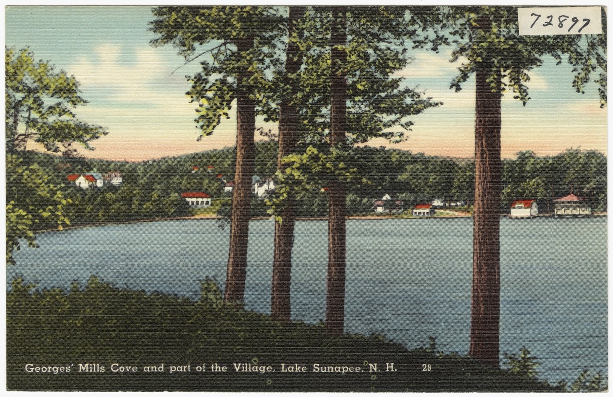 Georges' Mills Coves and part of the village, Lake Sunapee, N.H.