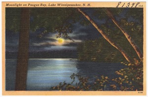 Moonlight on Paugus Bay, Lake Winnipesaukee, N.H.