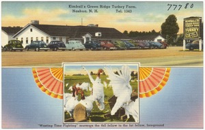 Kimball's Green Ridge Turkey Farm, Nashua, N.H., Tel. 1343, "Wasting Time Fighting" murmurs the tall fellow to the fat fellow, foreground