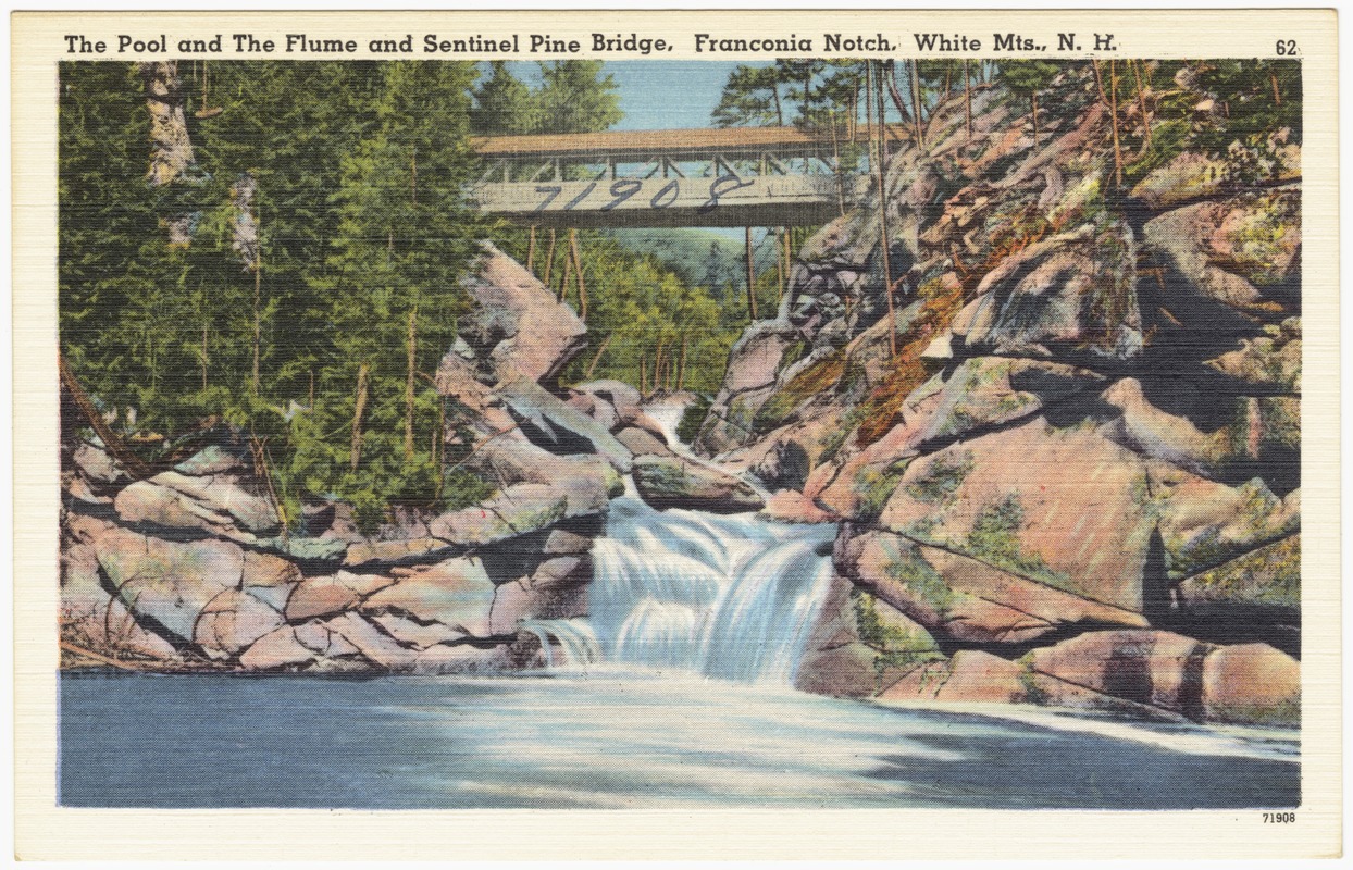 The Pool and the Flume and Sentinel Pine Bridge, Franconia Notch, White Mts., N.H.