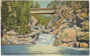 The Pool and the Flume and Sentinel Pine Bridge, Franconia Notch, White Mts., N.H.