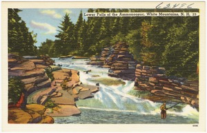 Lower Falls of the Ammonoosuc, White Mountains, N.H.