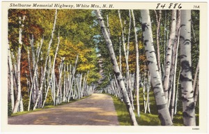 Shelburne Memorial Highway, White Mts., N.H.