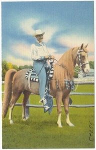 A.H. Albee of Allen "A" Resort, on his Tennessee Walking Horse, Treasure Lynn Allen, Reg. 472187