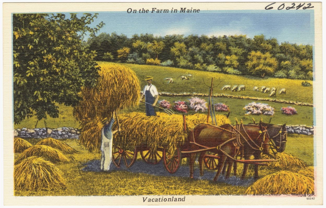 On the farm in Maine, Vacationland