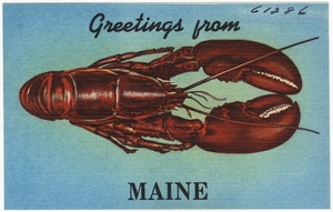 Greetings from Maine