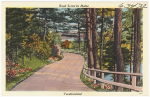 Road scene in Maine, Vacationland