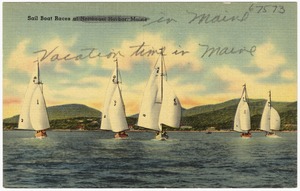 Sail boat races at Northeast Harbor, Maine