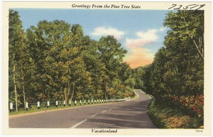 Greetings from the Pine Tree State, Vacationland