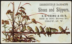 Irresistable bargains in shoes and slippers, at S. B. Thing & Co.'s, 328 & 330 River St., Troy, N. Y.