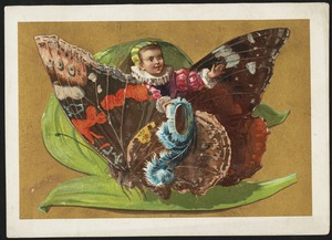 Boy riding butterfly sitting on a leaf