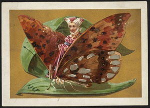 Girl riding butterfly sitting on a leaf