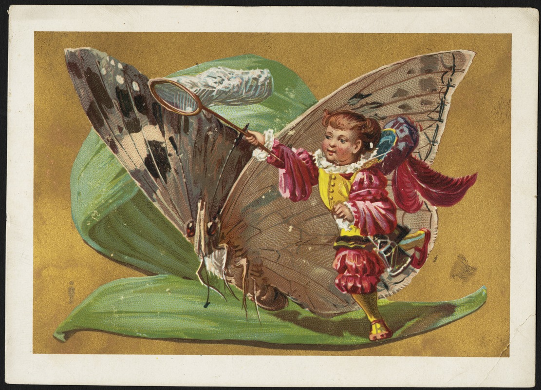 Child swinging net next to a butterfly sitting on a leaf
