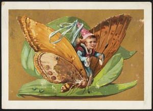 Girl riding butterfly sitting on a leaf