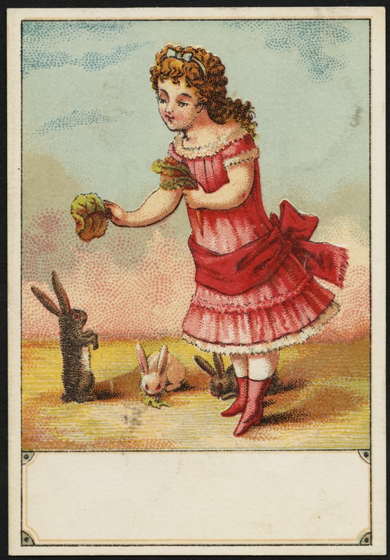Girl feeding lettuce to two rabbits.