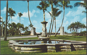Looking west on beautiful Royal Poinciana Way, Palm Beach, Florida