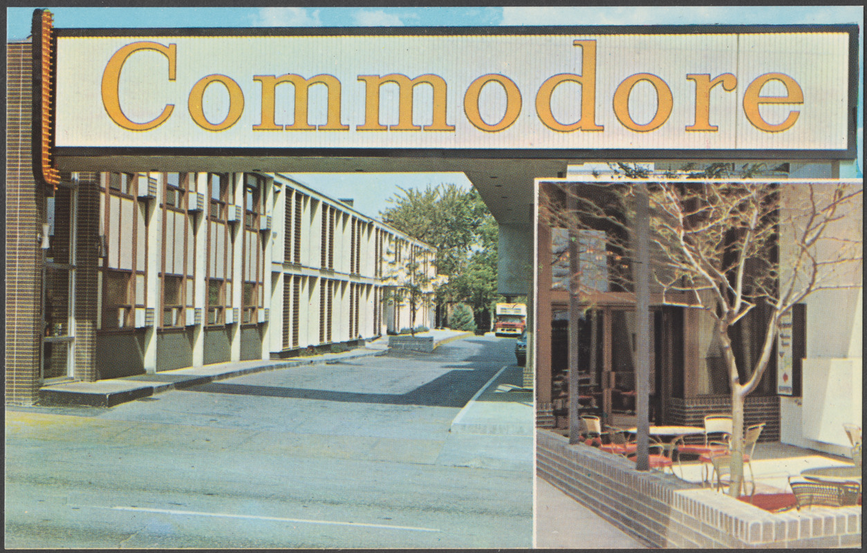 Commodore