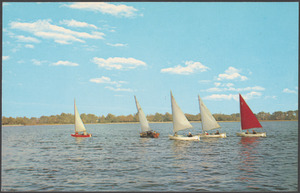 Five sailboats, one with a red sail