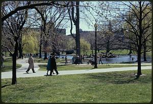 Public Garden/park in the heart of city