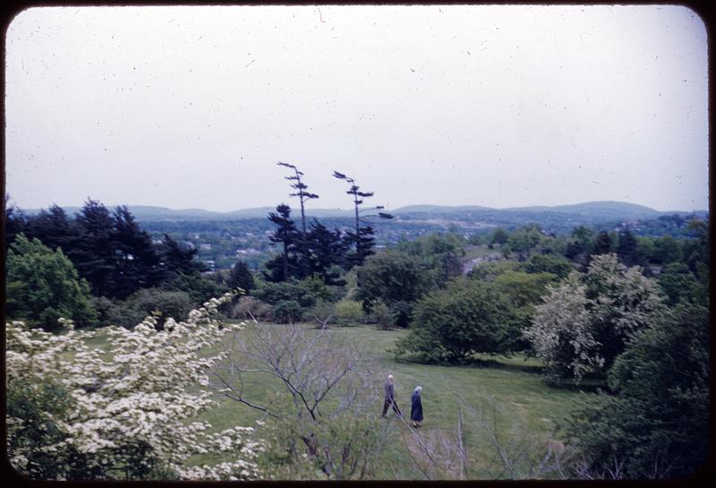 Arnold Arboretum