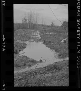 Flooding of brush and broken branches