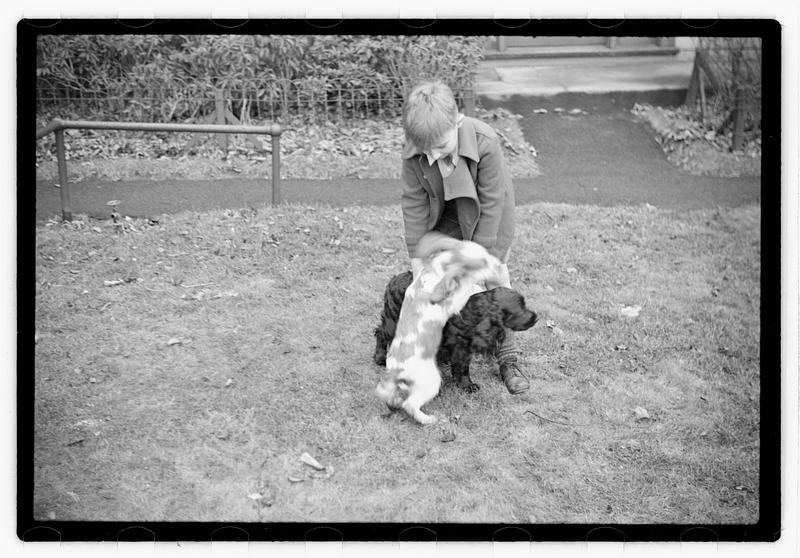 Idahurst Kennels
