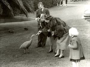 Helen and Polly Feeding a Goose