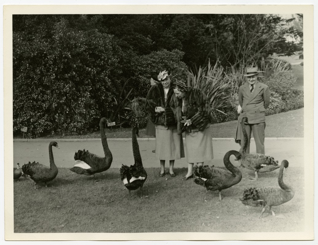 Helen Keller and Polly Thomson with Black Geese or Swans