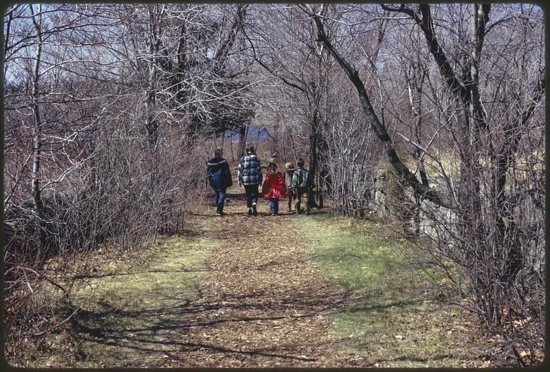 Stony Brook, branch of Charles River runs into Stop River, Blake Reservation