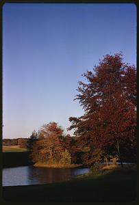 Trees showing fall foliage next to a body of water