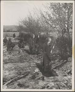 Using a hedgerow for concealment, U.S. infantrymen keep a wary lookout for Nazis on the outskirts of a Belgian town