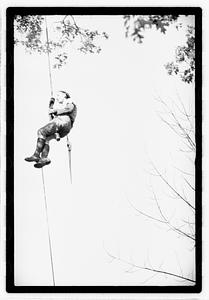 Tree maintenance, Boston Common