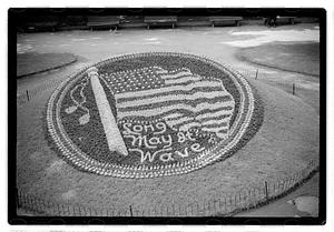 "Long may it wave" floral design