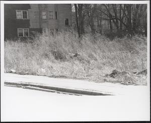 Elmore Street, Roxbury, Boston