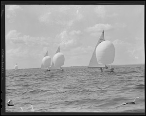 Sailing