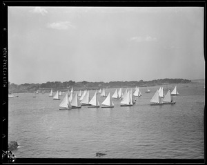 Sailboats