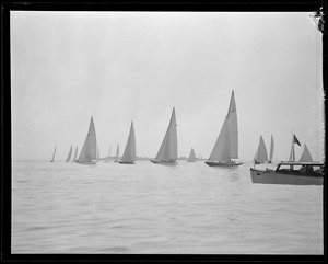 Sailboats